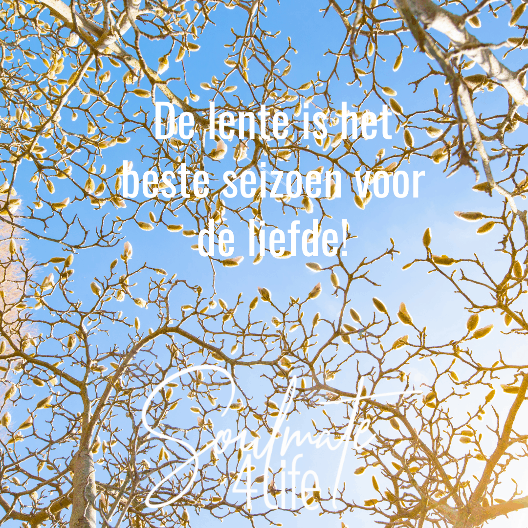 De lente is het beste seizoen voor de liefde!